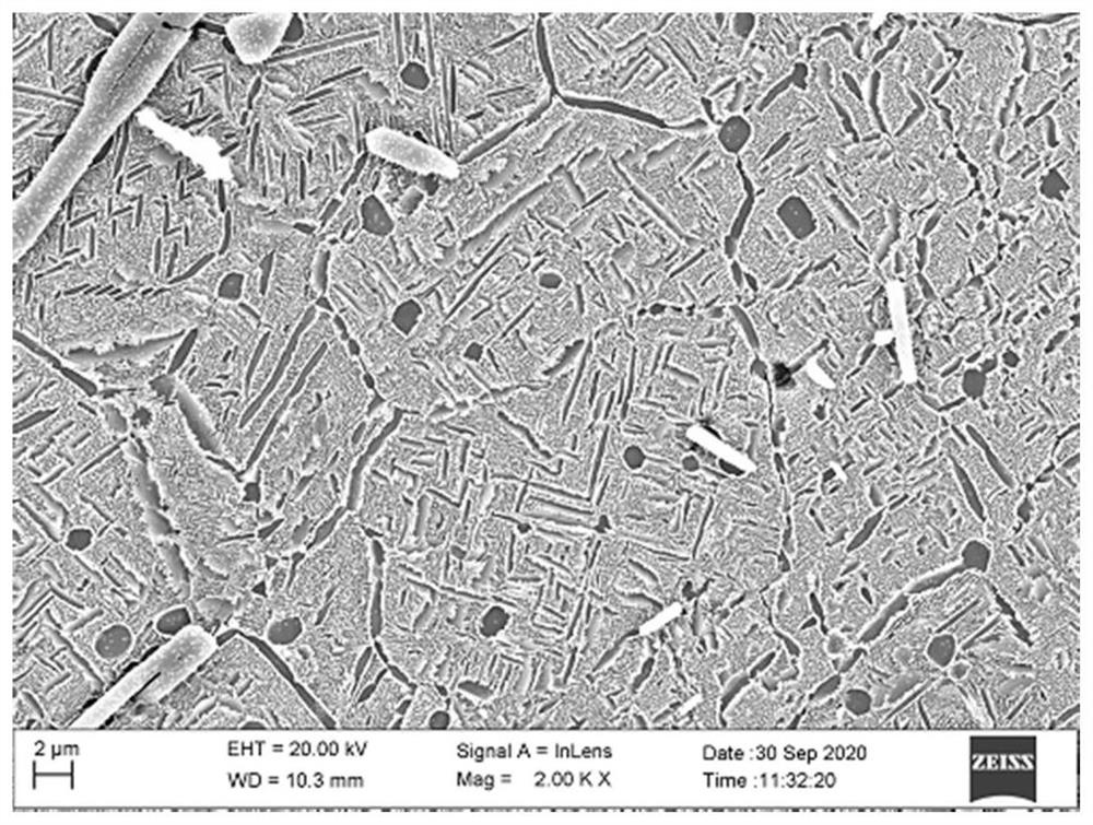 In-situ synthesized TiB reinforced beta titanium alloy composite, and preparation method thereof