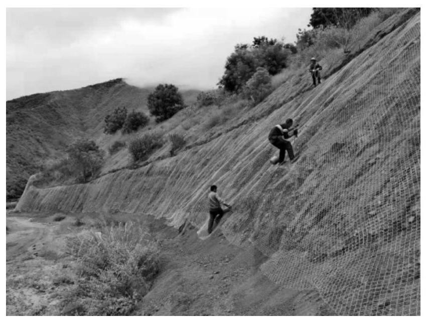 'Three-ten-combination' soil spray-seeding method for high and steep slope vegetation recovery