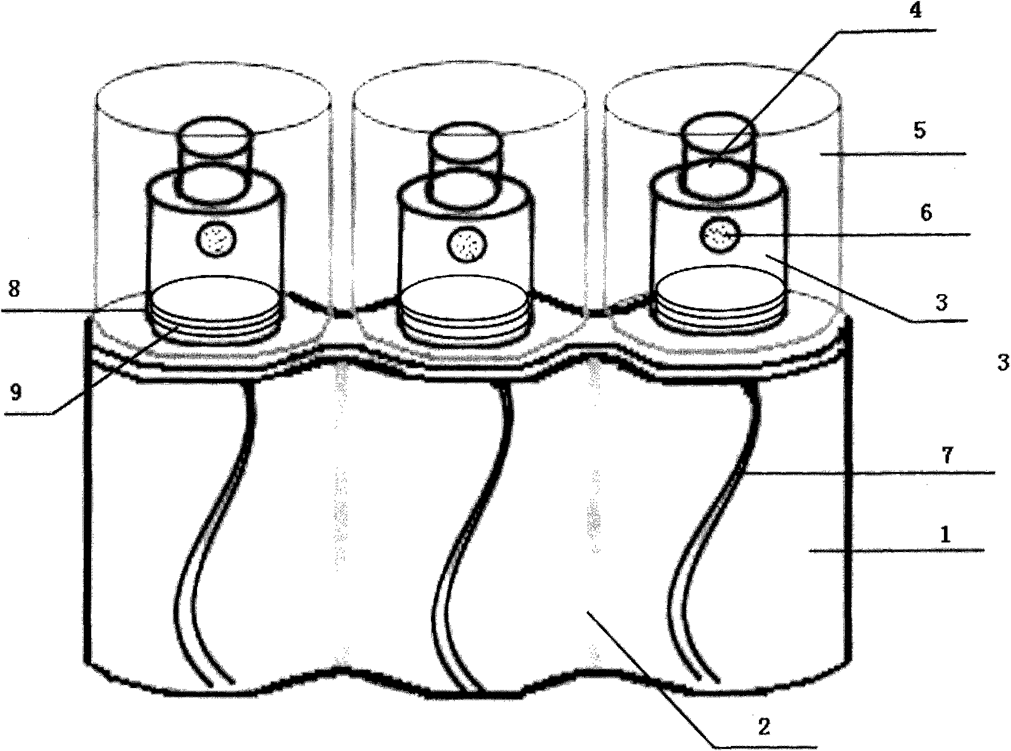 Multi-bucket watering can