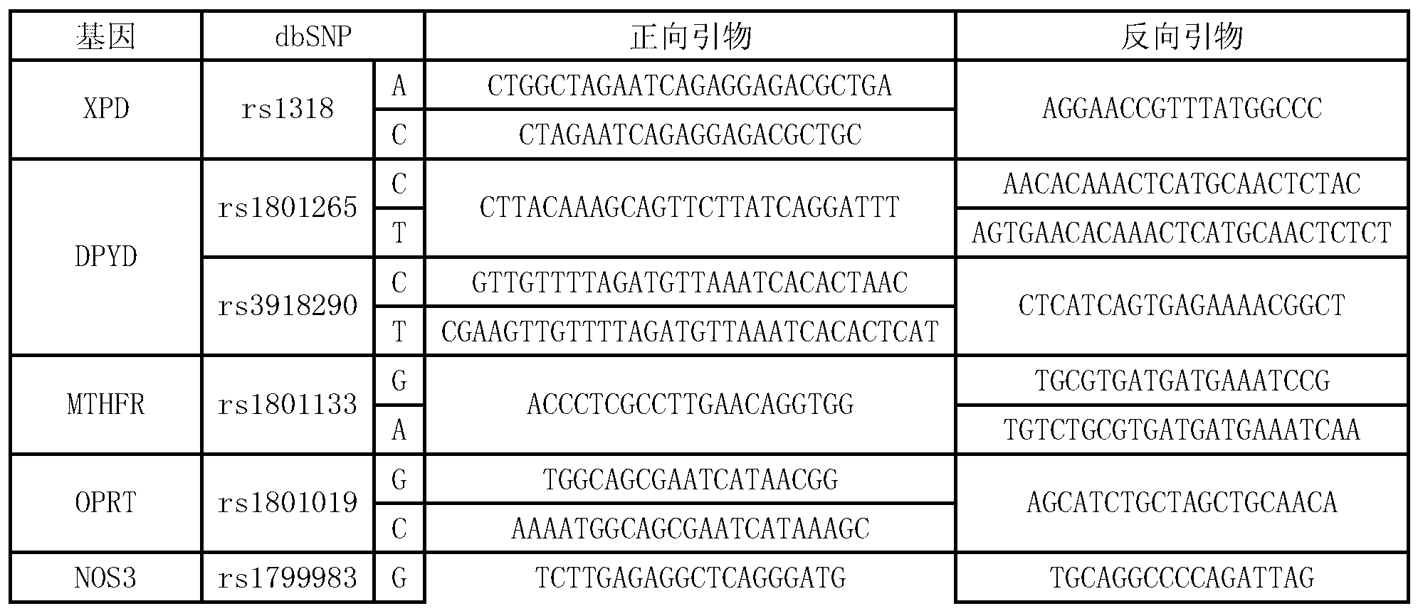 Multi-gene detection kit for guiding administration of 5-fluorouracil and detection method of multi-gene detection kit