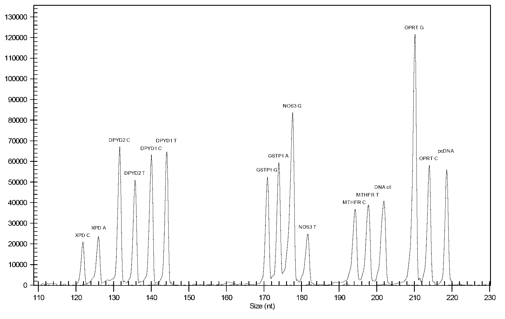 Multi-gene detection kit for guiding administration of 5-fluorouracil and detection method of multi-gene detection kit