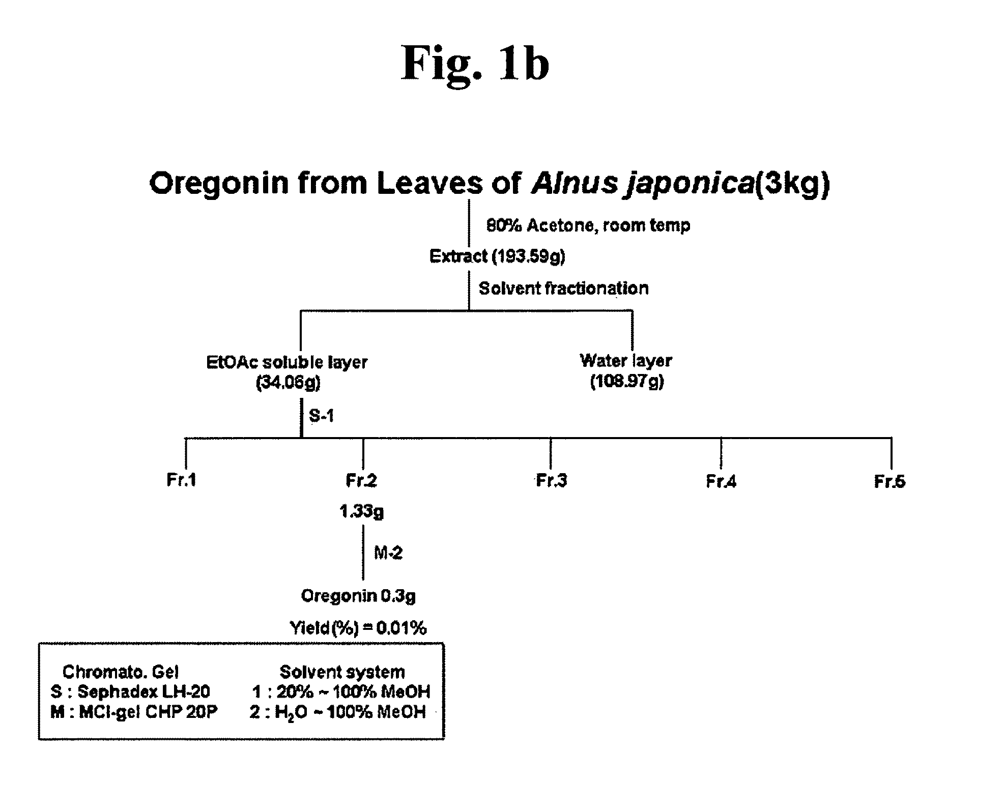 Composition for treating atopic dermatitis comprising hirsutenone as an active ingredient