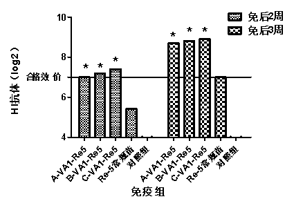 Compound immunoenhancement agent, vaccine for birds and method for preparing compound immunoenhancement agent