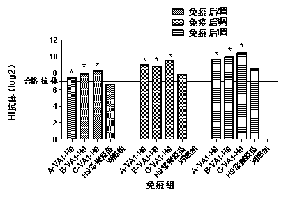 Compound immunoenhancement agent, vaccine for birds and method for preparing compound immunoenhancement agent