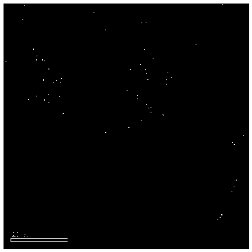 Preparation method for manganese-lithium phosphate and carbon nano tube nanocomposite