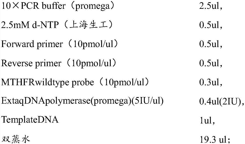 Primer pair, probe and kit used for detecting polymorphism of MTHFR gene