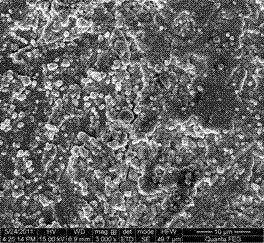 Preparation method of nickel electrode made of piezoelectric composite material