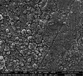 Preparation method of nickel electrode made of piezoelectric composite material