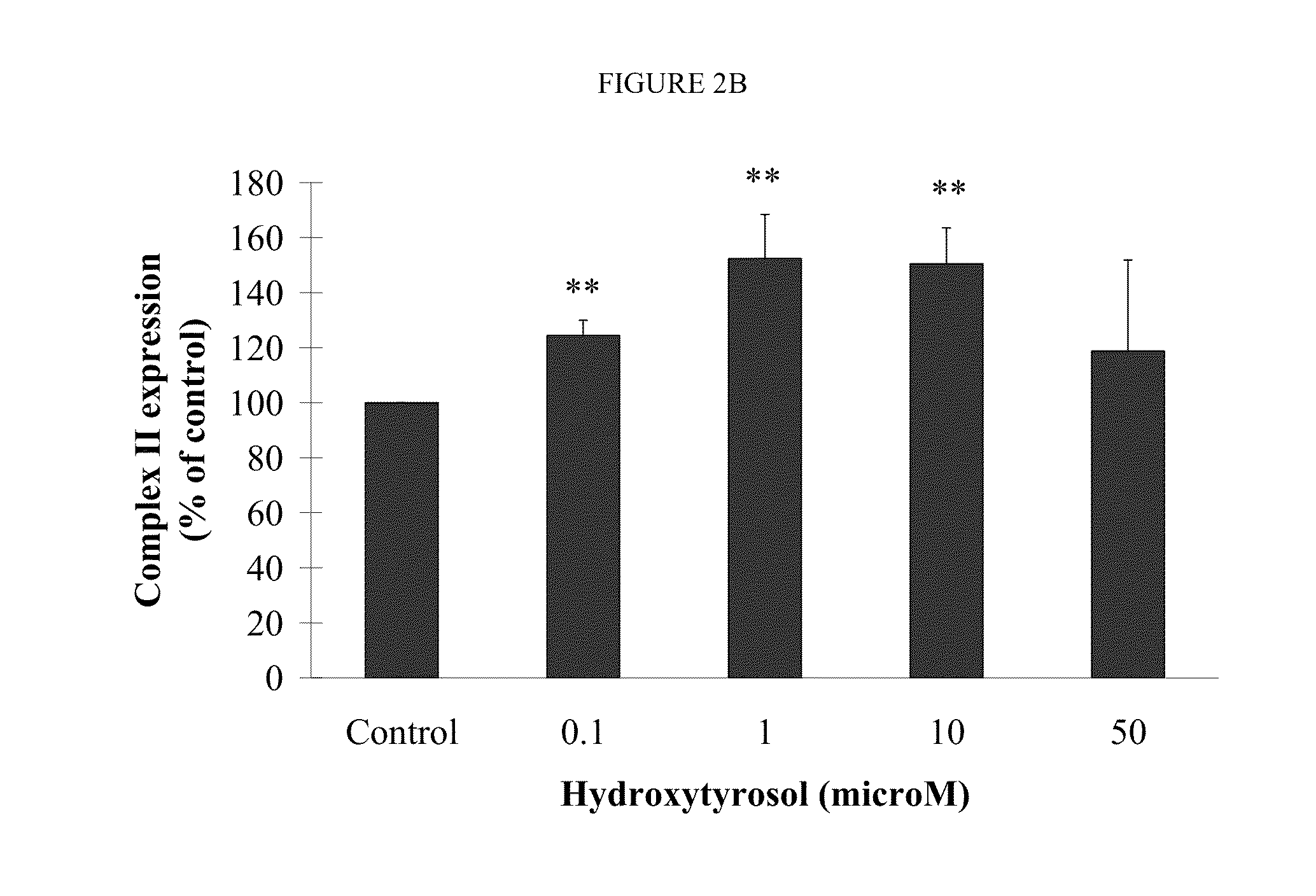 Hydroxytyrosol combinations for enhancing mitochondrial function and energy production