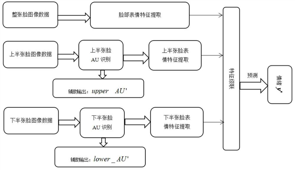 Facial expression recognition method and system based on deep privileged network