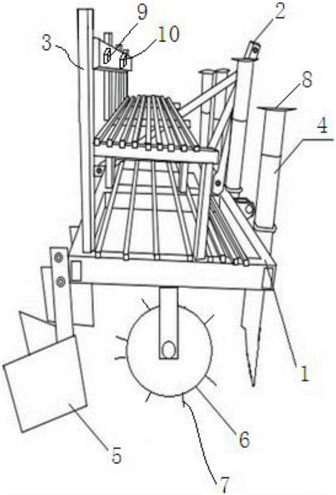 Armoracia rusticana planting device