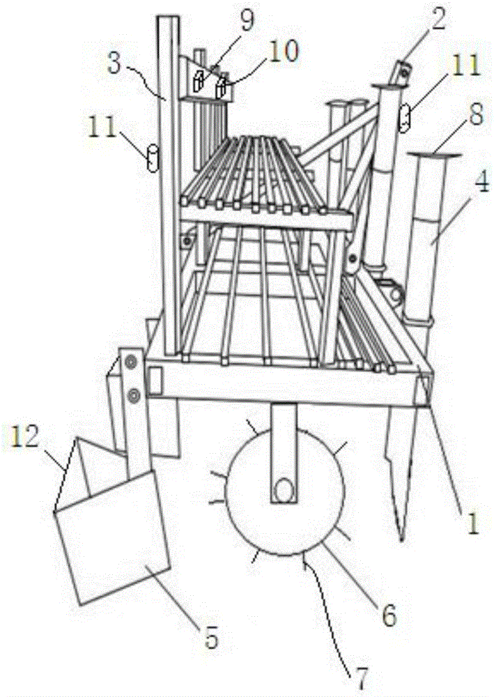 Armoracia rusticana planting device