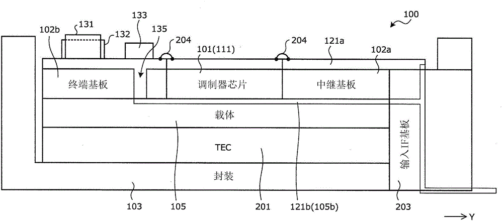 Optical module and optical transmitter