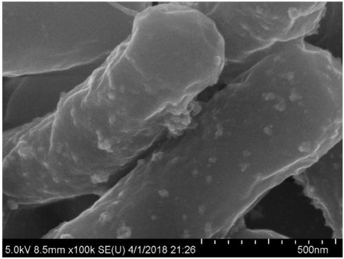 Microorganism-supported platinum-palladium alloy nano catalyst and preparation method thereof