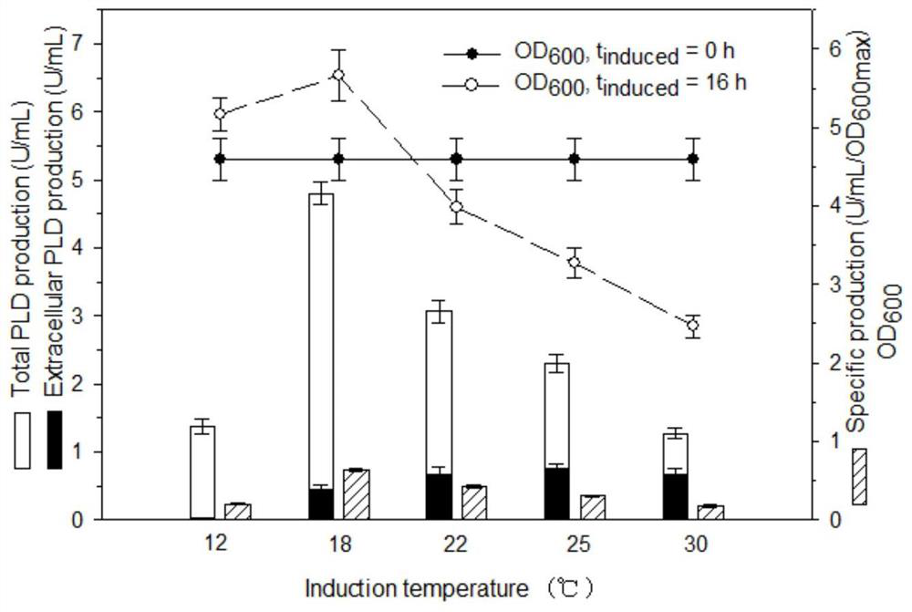 A method for producing phospholipase D by recombinant Escherichia coli