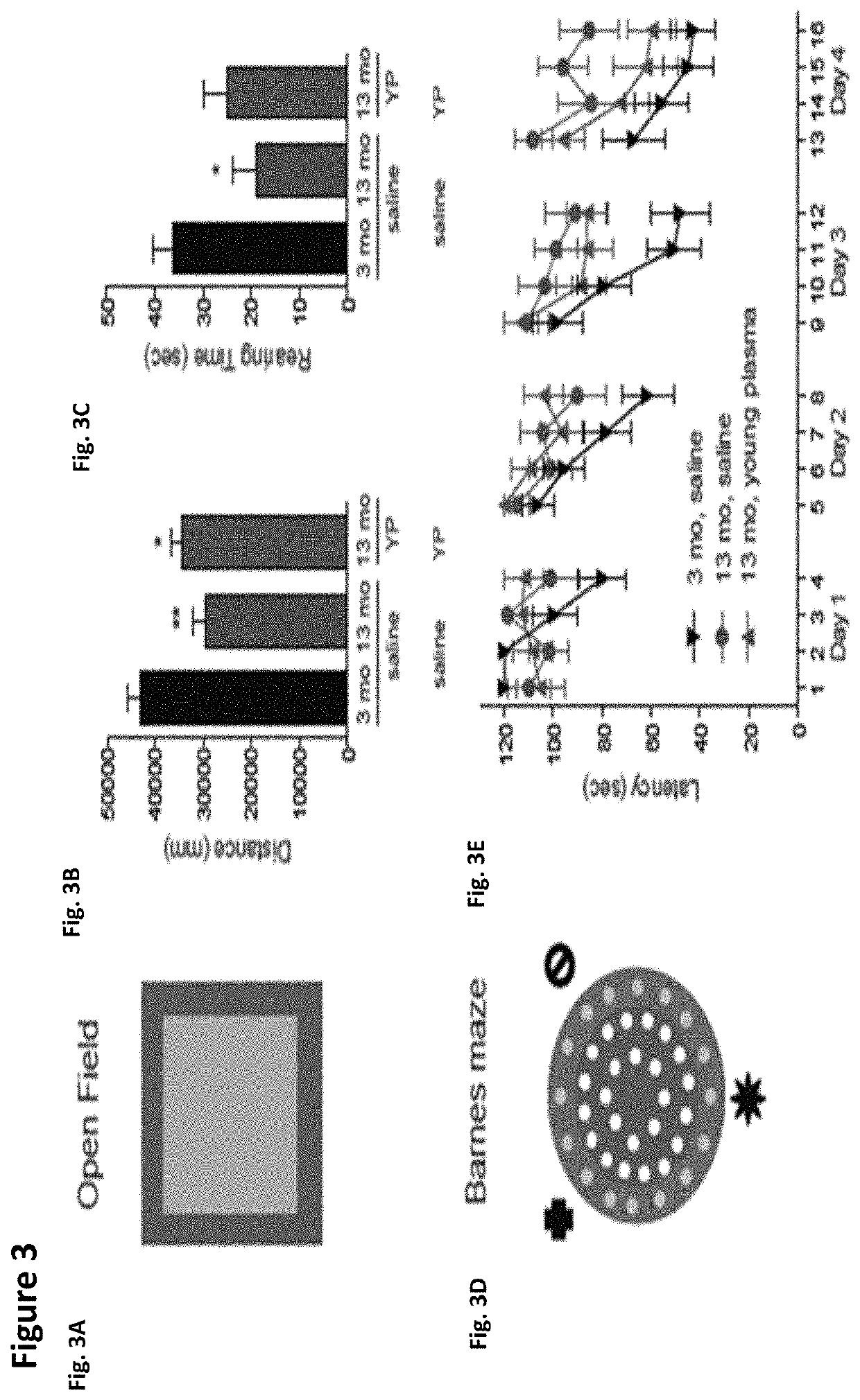 Methods for screening human blood products comprising plasma using immunocompromised rodent models