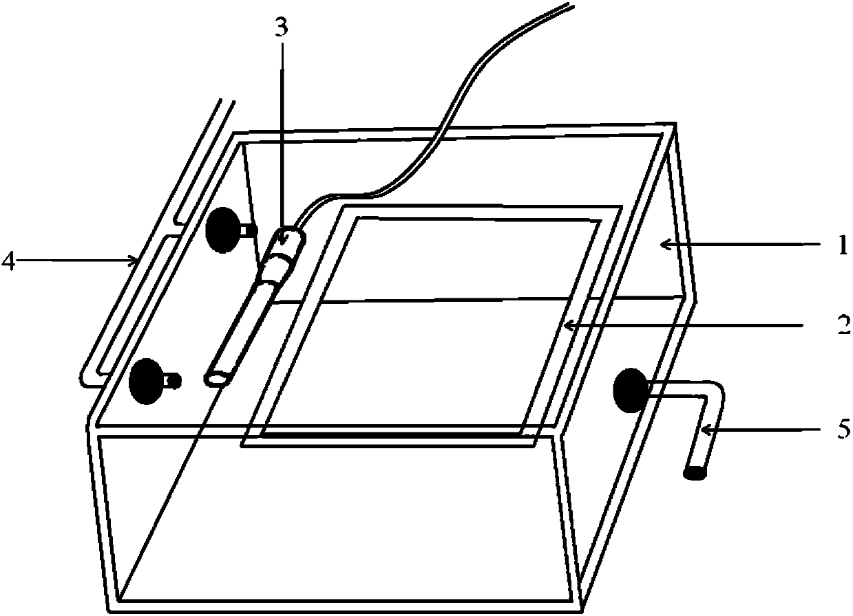 Total artificial propagation method of opsariichthys bidens