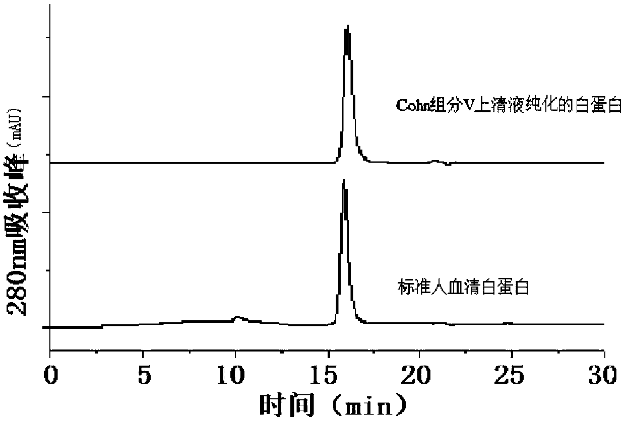 Method for separating and purifying human serum albumin from Cohn component V supernatant