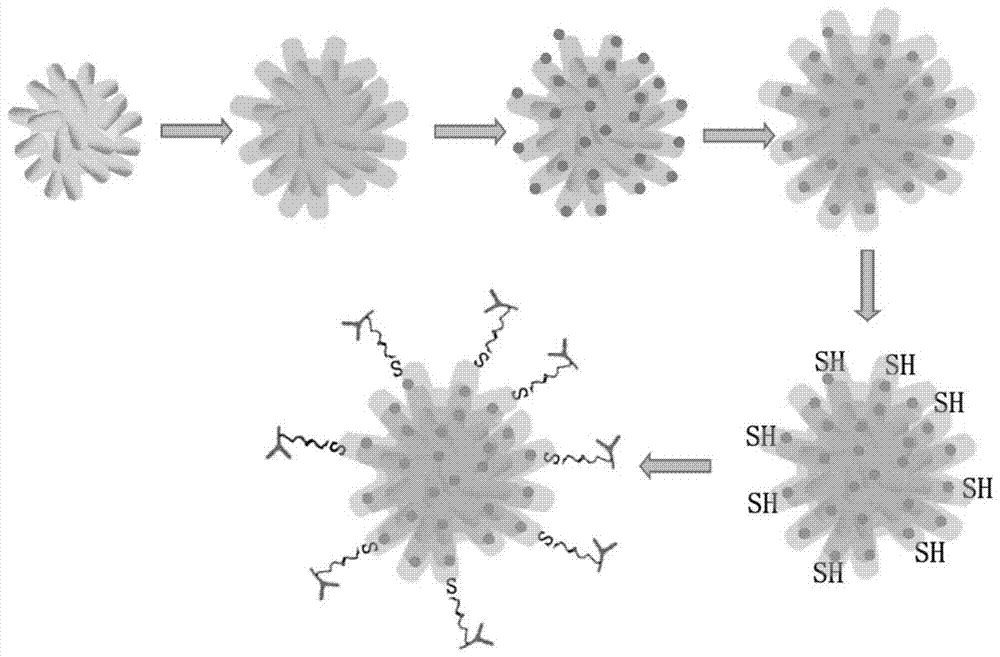 A gold nanoflower/quantum dot composite probe for immunofluorescence labeling and photothermal therapy of living cells