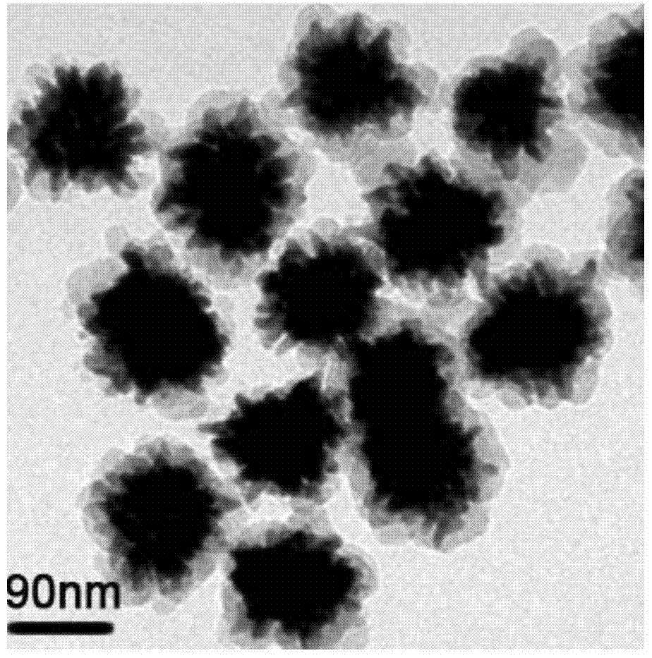 A gold nanoflower/quantum dot composite probe for immunofluorescence labeling and photothermal therapy of living cells