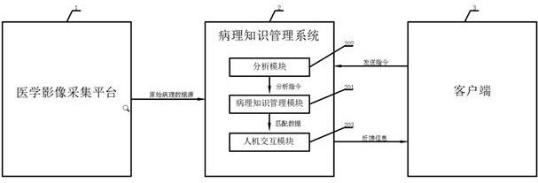 Medical teaching system