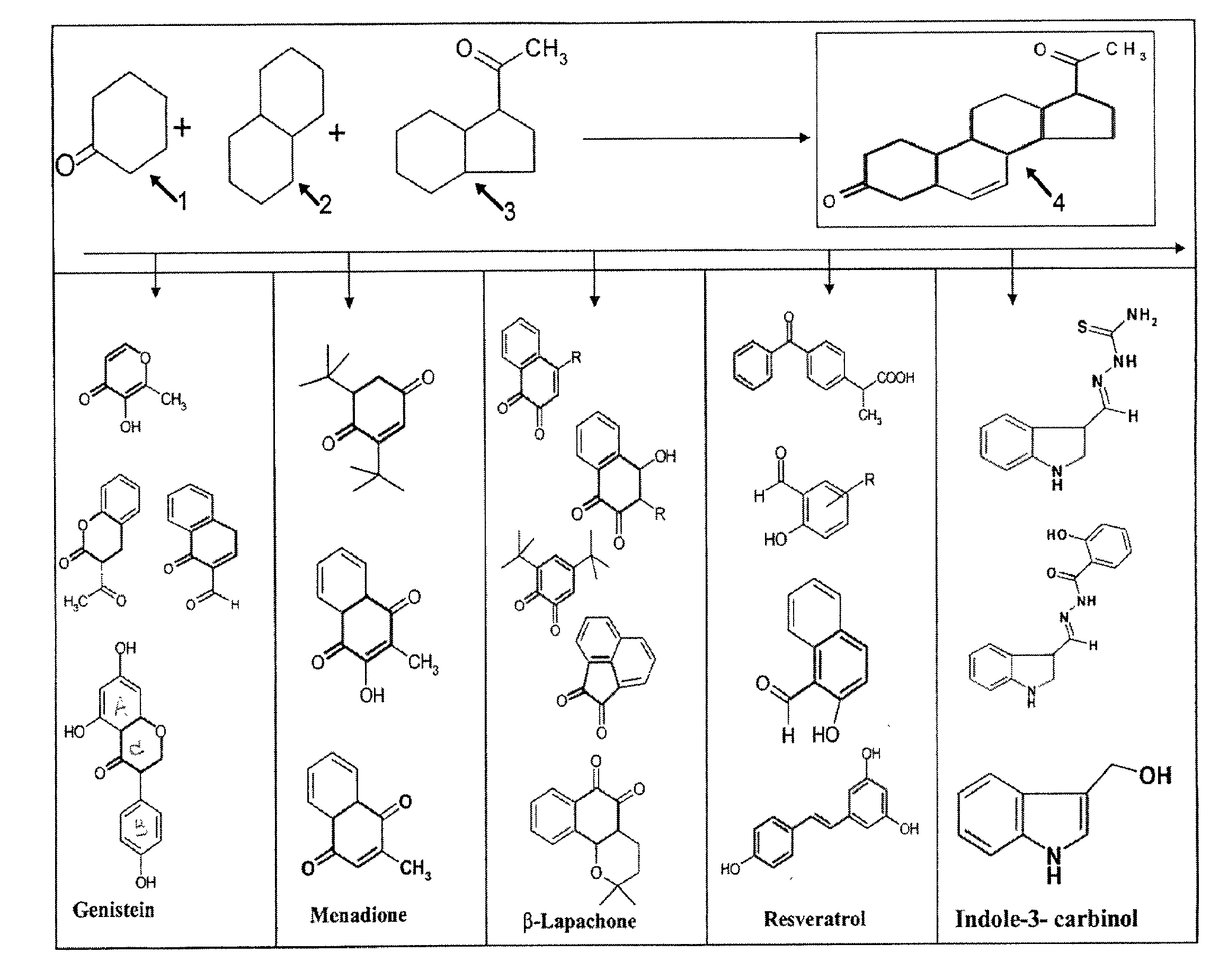 Isoflavonoid Analogs and their Metal Conjugates as Anti-Cancer Agents