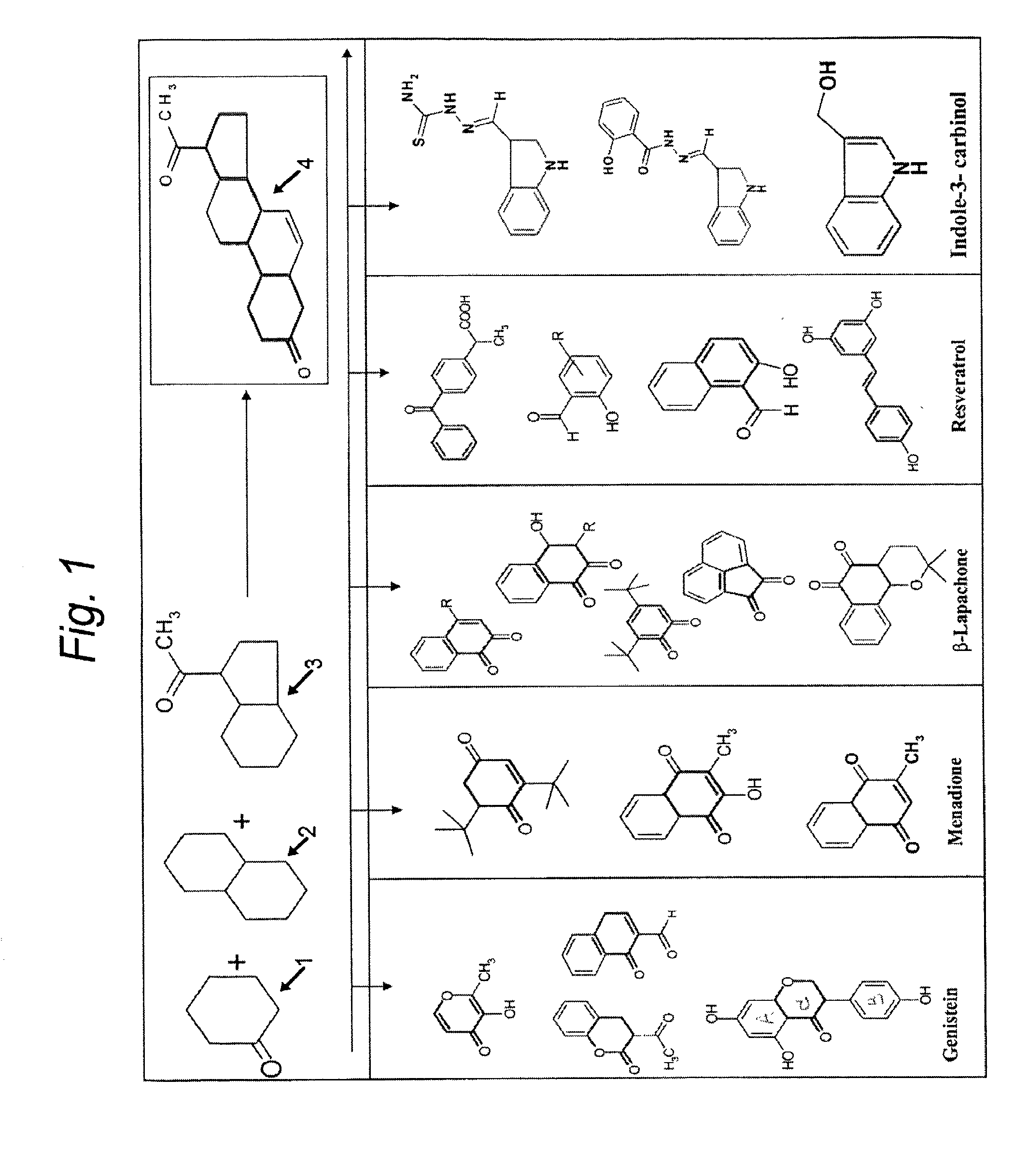 Isoflavonoid Analogs and their Metal Conjugates as Anti-Cancer Agents