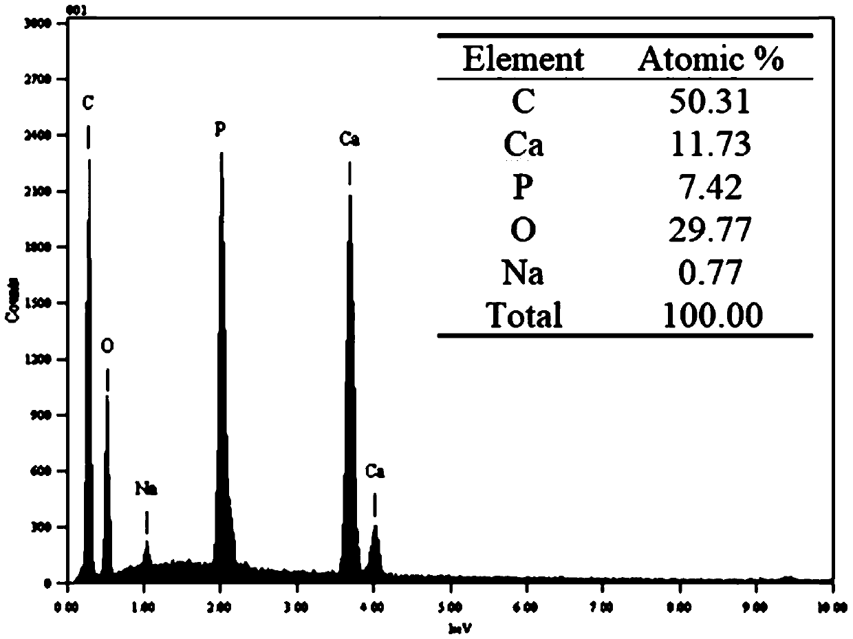 A method for preparing hydroxyapatite coating on the surface of carbon nanotubes based on electrochemical deposition method and biomineralization method