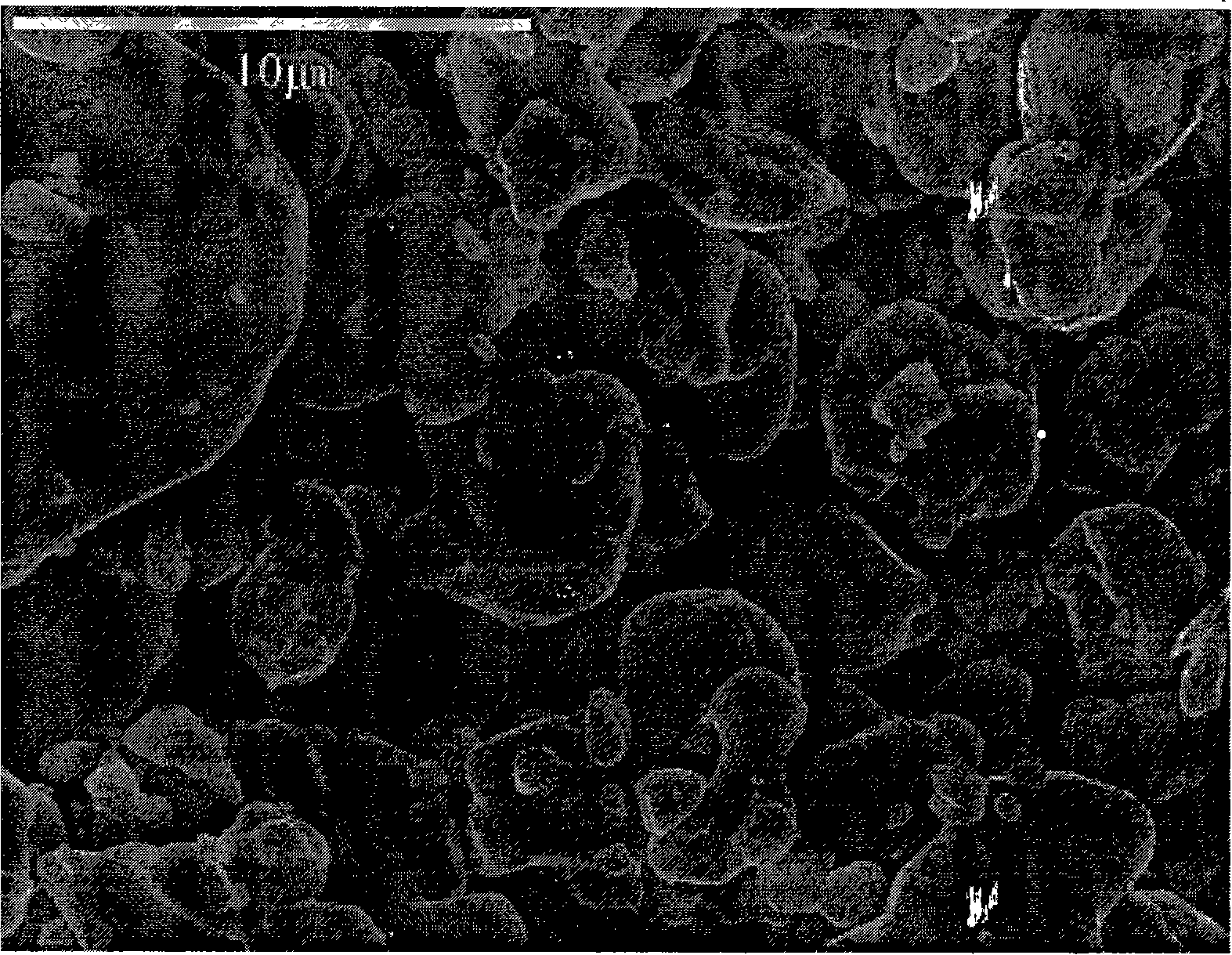 Method for recovering and preparing lithium cobaltate from waste lithium ionic cell