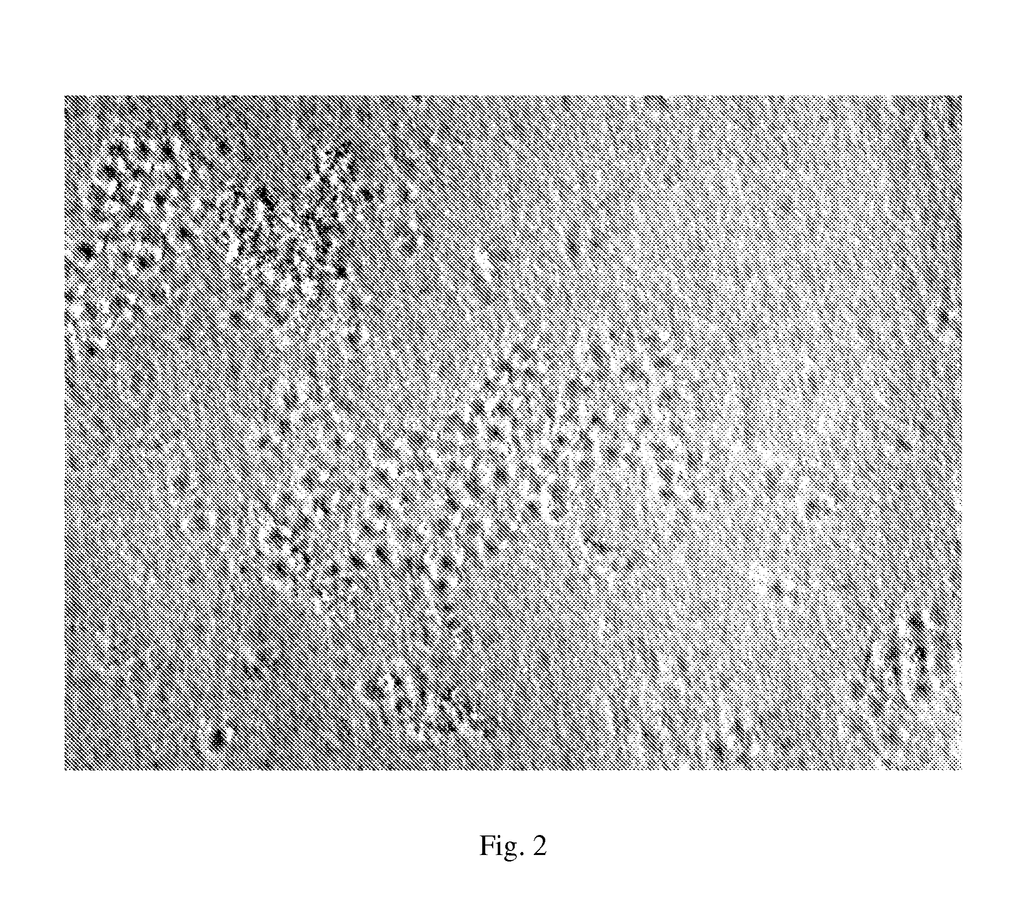 Encapsulation of living cells within an aerosolized sol-gel matrix