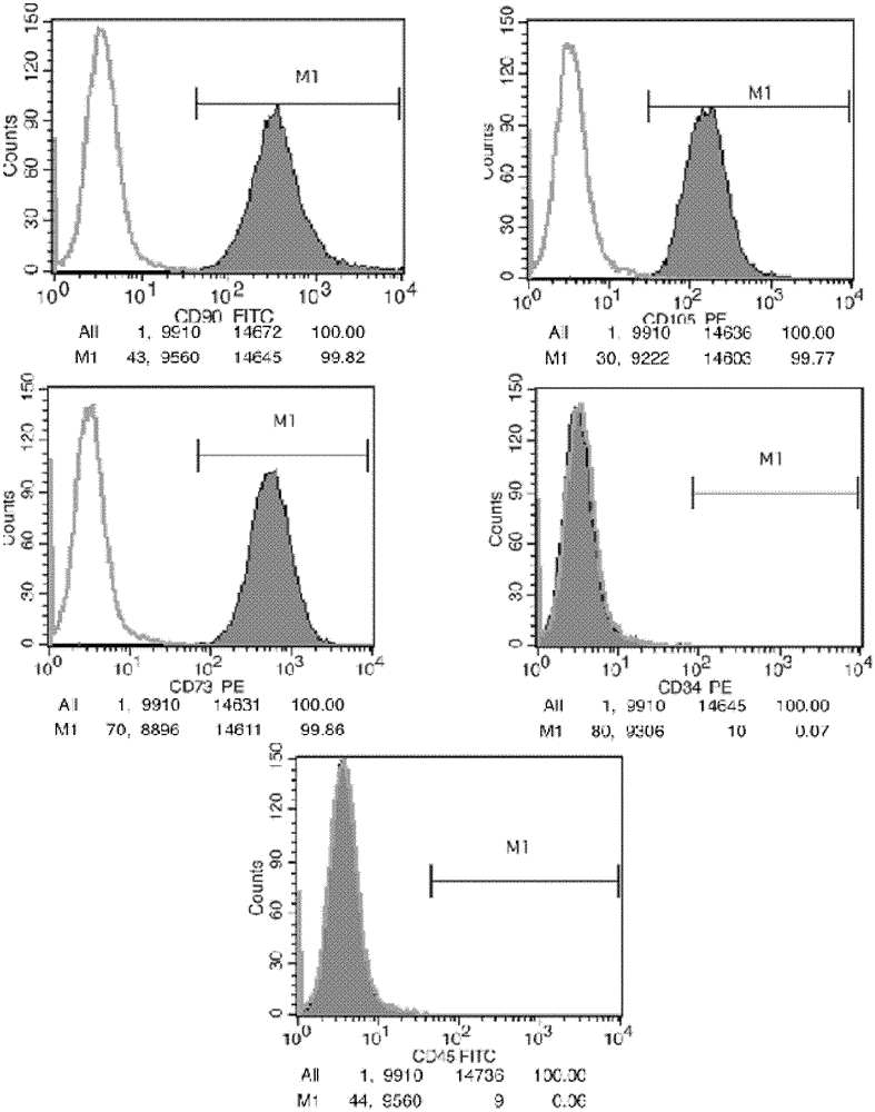 A kind of mesenchymal stem cell preservation solution and its preparation method and application