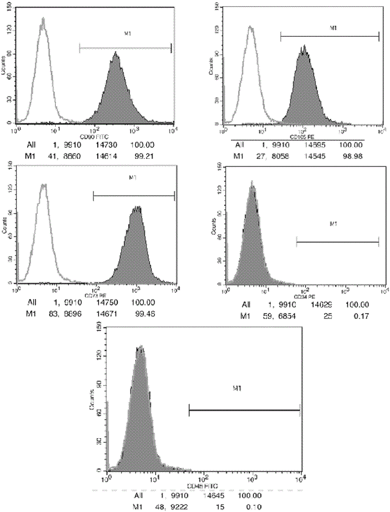 A kind of mesenchymal stem cell preservation solution and its preparation method and application