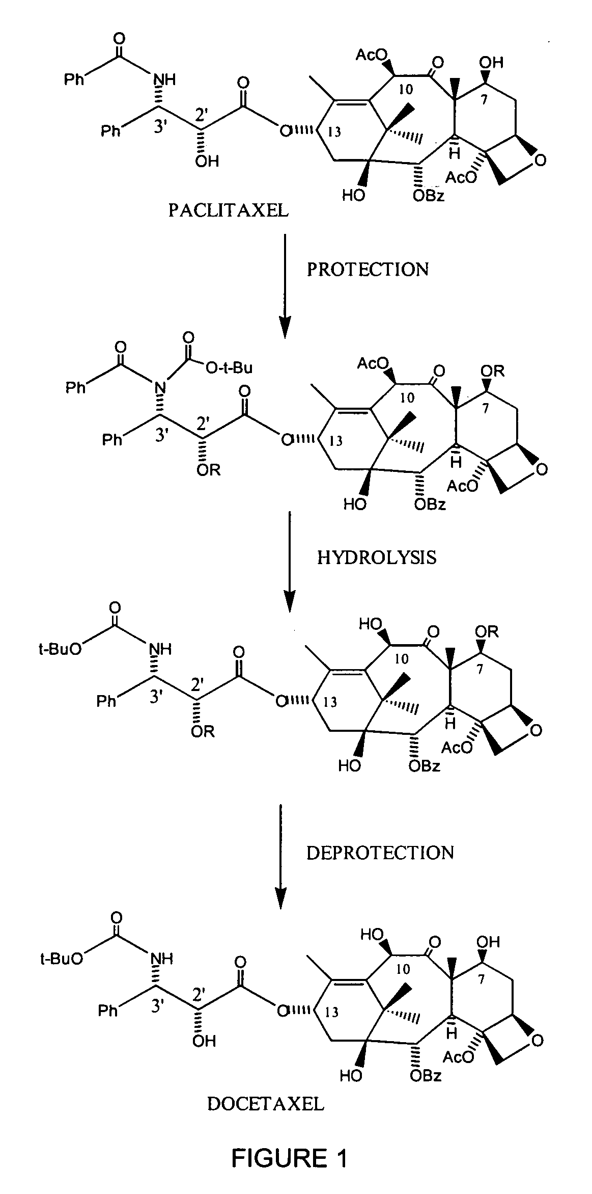 Semi-synthetic conversion of paclitaxel to docetaxel