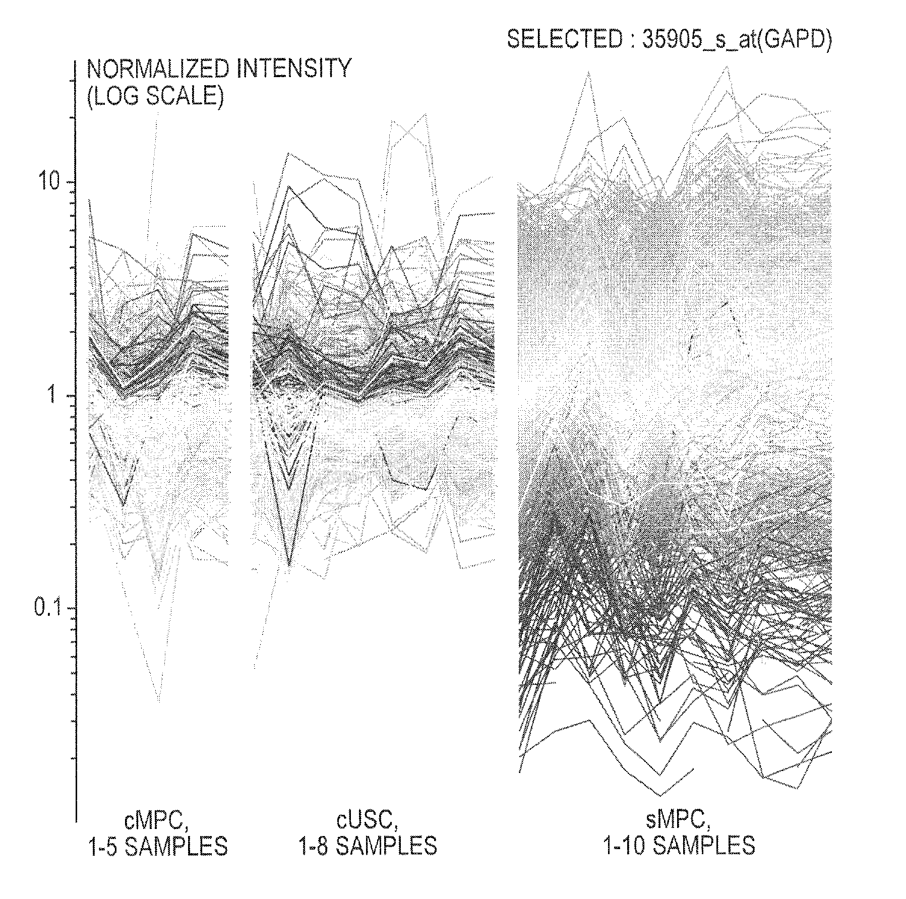 Human Mesenchymal Progenitor Cell