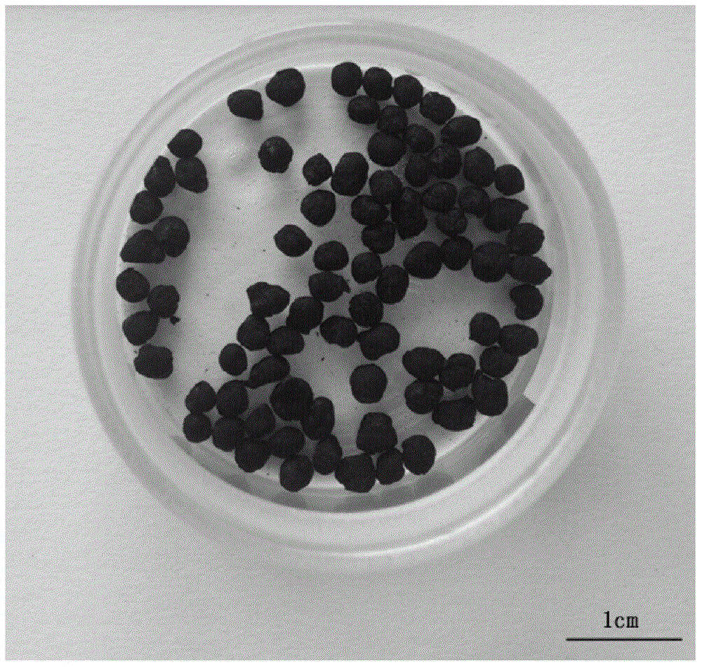 Mud-based spherical active carbon as well as preparation method and application thereof