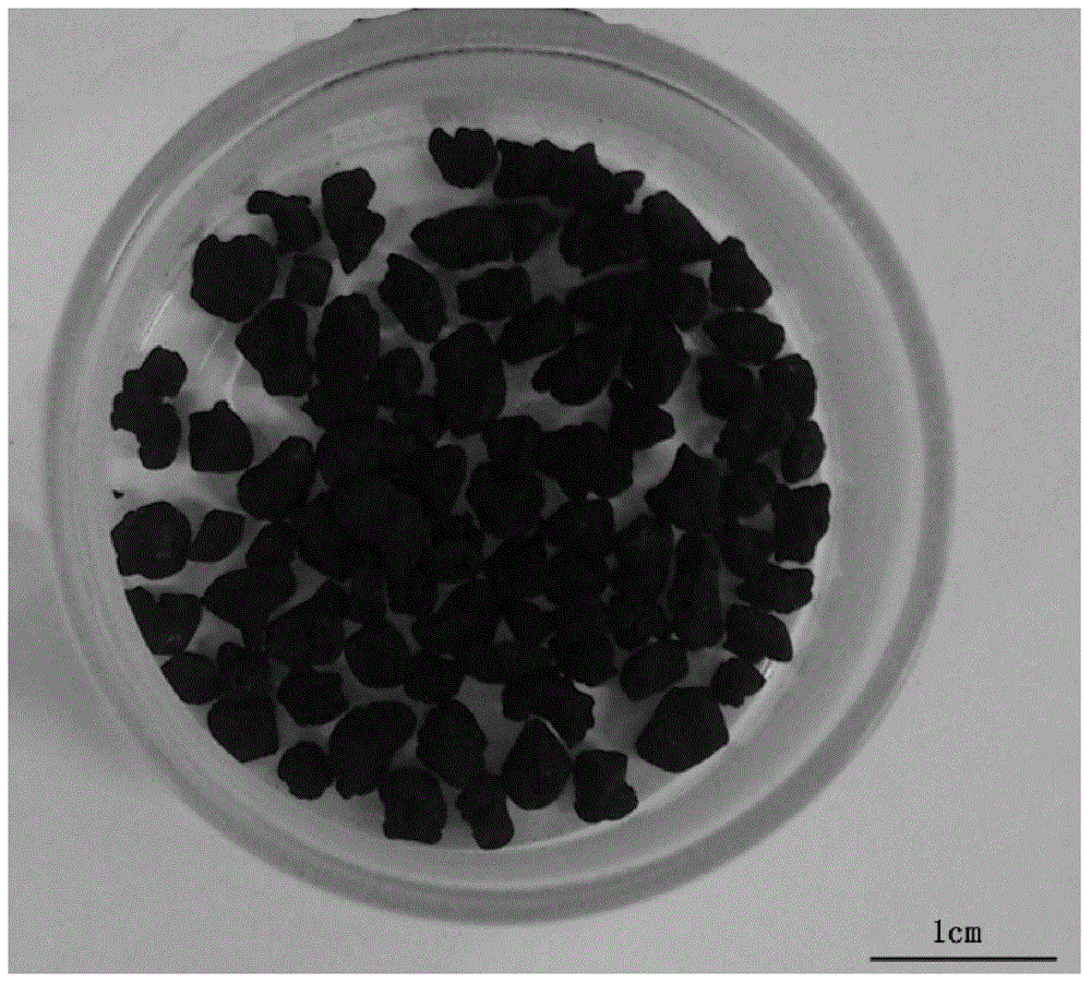 Mud-based spherical active carbon as well as preparation method and application thereof