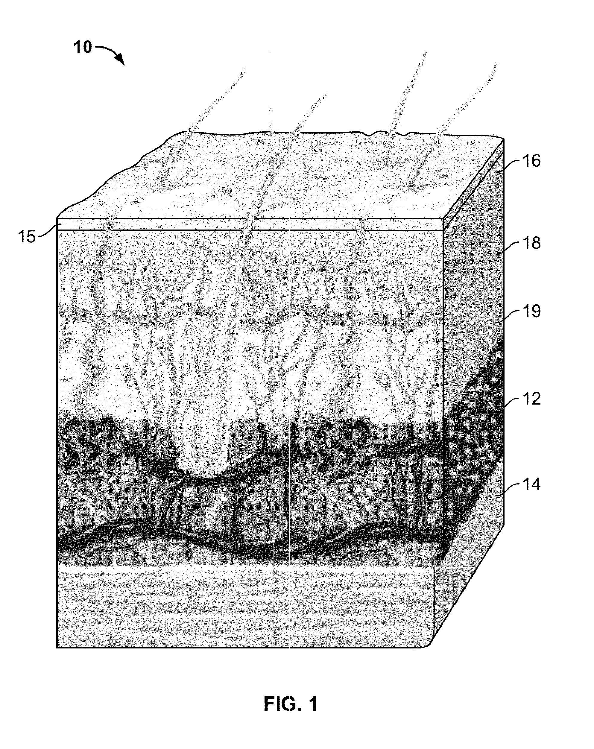 Methods for applying energy to tissue using a graphical interface