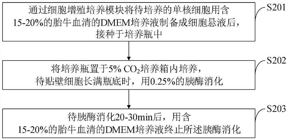 Medicine transplantation system and method for nervous tissue