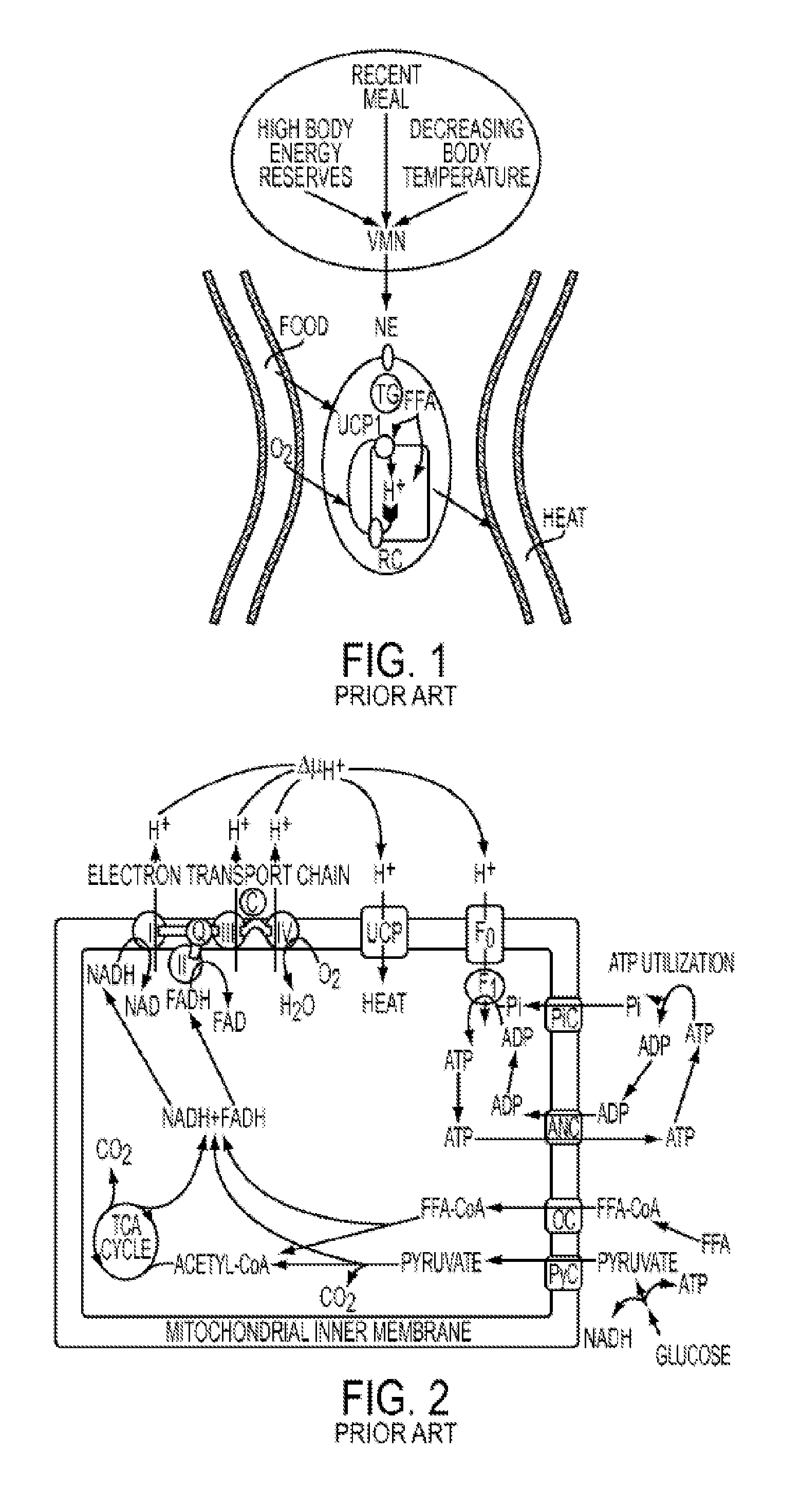 Methods and devices for activating brown adipose tissue with targeted substance delivery