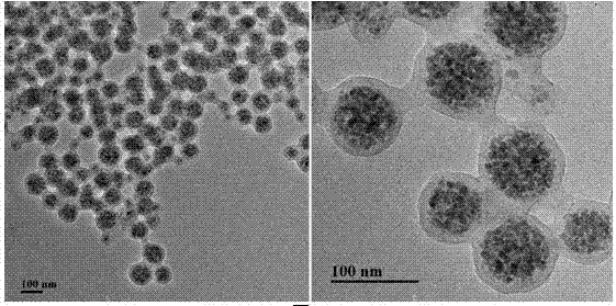 A kind of preparation method of magnetic molecularly imprinted photonic crystal sensor for detecting melamine