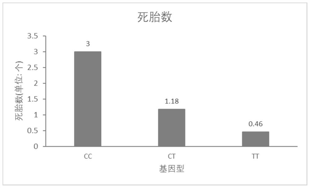 SNP molecular marker located on pig chromosome 14 and related to dead fetus number and healthy birth rate of sow and application of SNP molecular marker