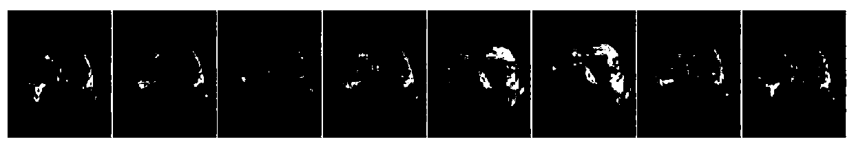 Adaptive weighting local constraint sparse coding method