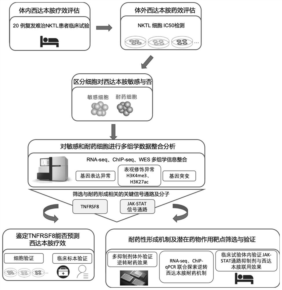 A novel combination targeted drug for the treatment of relapsed/refractory T-cell lymphoma