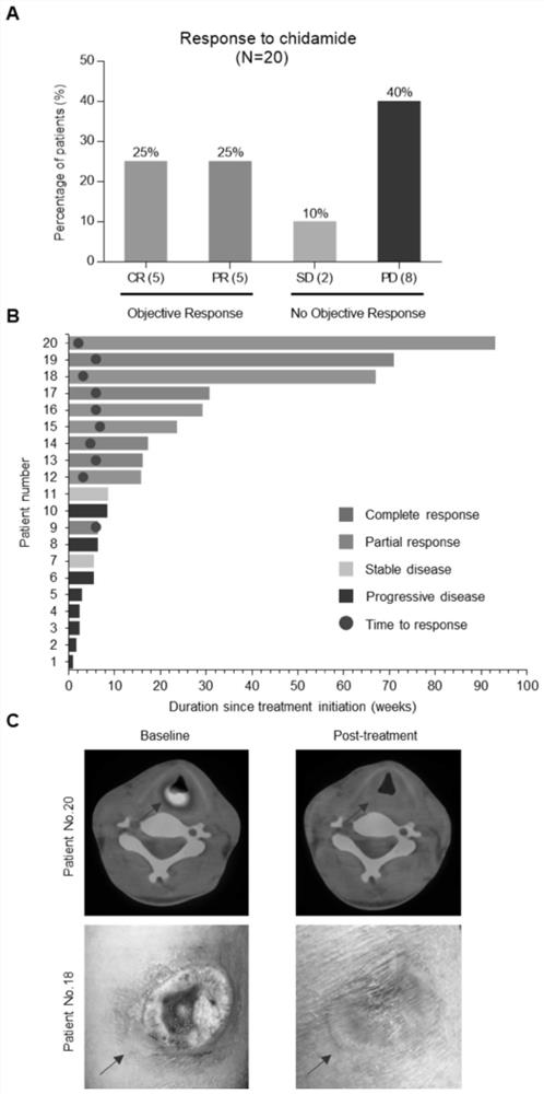 A novel combination targeted drug for the treatment of relapsed/refractory T-cell lymphoma