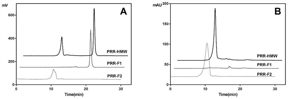 A kind of melanoidin in Rehmannia glutinosa and its application