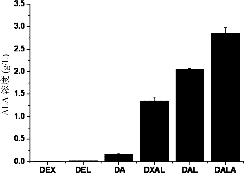 Recombinant escherichia coli and application thereof in production of 5-aminolevulinic acid (ALA)