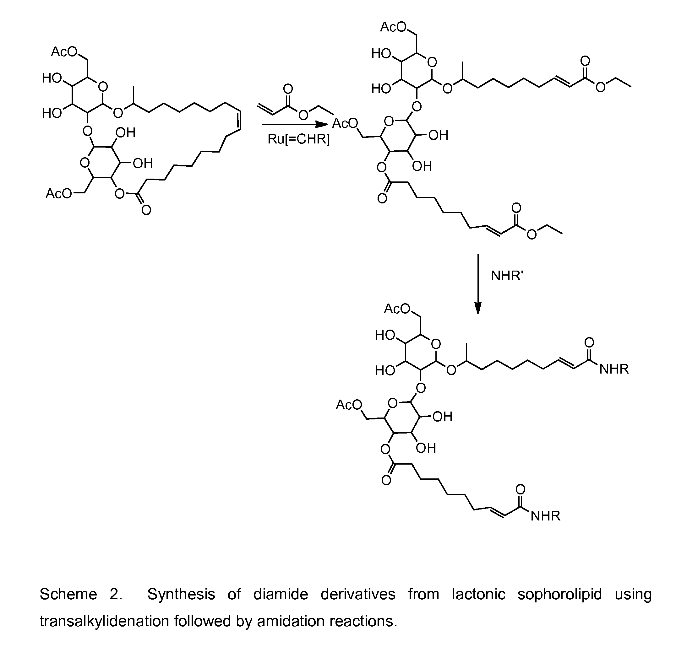 Modified sophorolipids combinations as antimicrobial agents