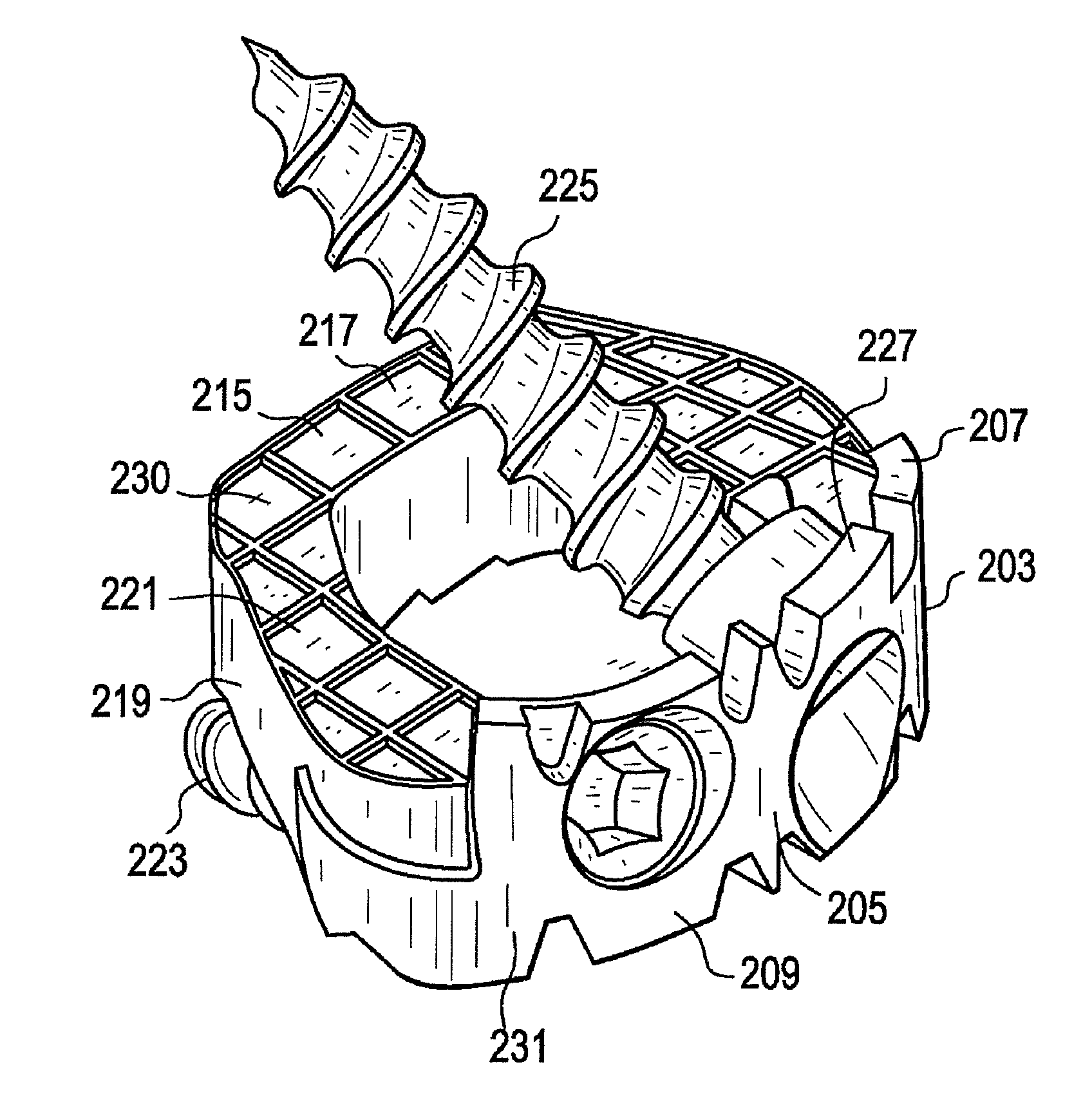 Stand Alone Intervertebral Fusion Device