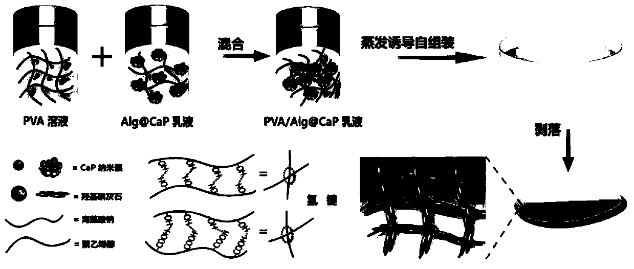 Stress-responsive multi-color-change composite film material as well as preparation method and application thereof