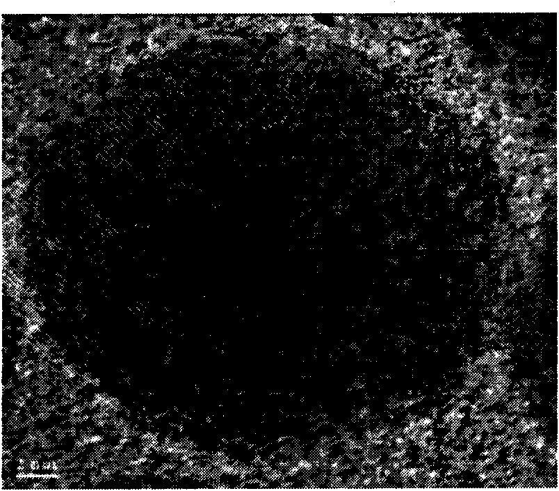 Method for preparing silver selenide nanometer material